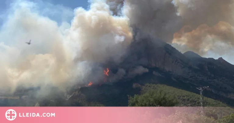 ⏯️ L'incendi de Peramola s'ha iniciat per l'avaria d'una recol·lectora en un camp
