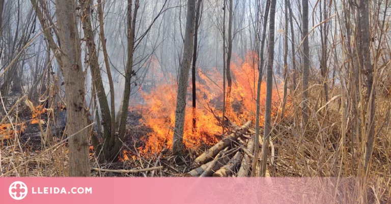 El Pla d'Urgell, dins del llistat de comarques amb "risc molt alt d'incendi" aquest dissabte