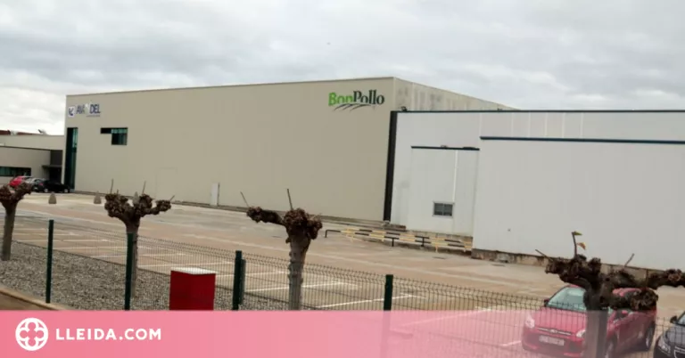 La plantilla de l'escorxador Avidel de Lleida farà vaga aquesta setmana