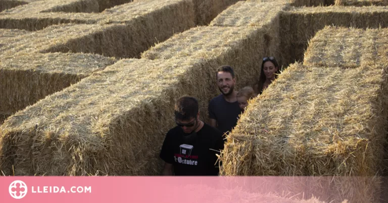 Torna el Laberint de palla de la Segarra, enguany ampliat amb 450 bales de palla