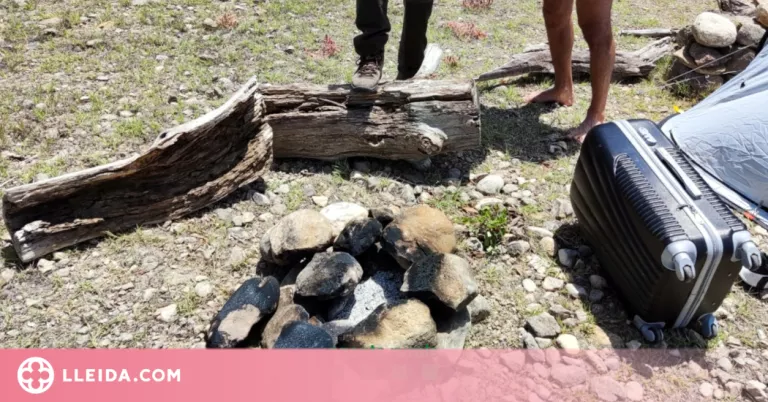 Diverses denúncies per fer foc i accedir a espais naturals tancats a la Noguera i el Pallars
