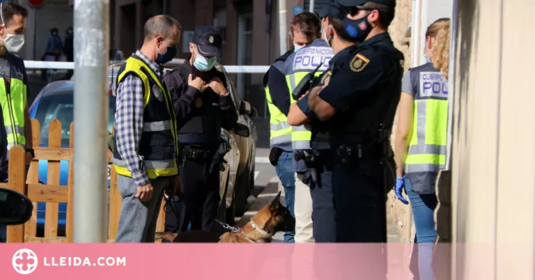 ⏯️ Demanen més d'11 anys de presó per a 9 persones acusades de tràfic de drogues a Lleida