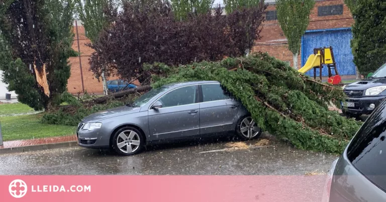 Una tempesta d'aigua, pedra i vent afecta zones fruiteres del Segrià i la Noguera
