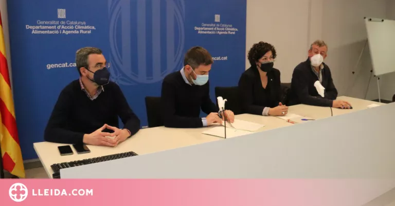 La sequera augmenta els danys provocats pels conills a l'agricultura de Lleida