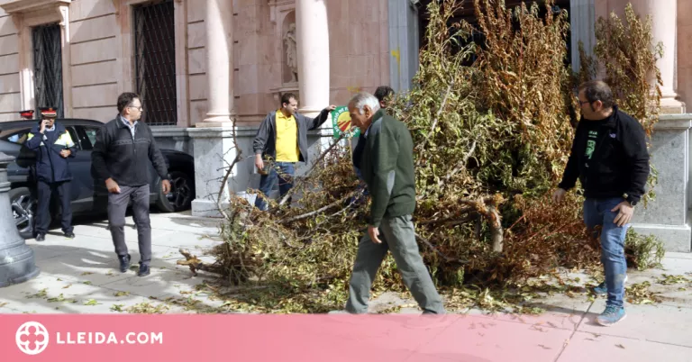 ⏯️ Bloquegen l'entrada de la subdelegació del govern espanyol a Lleida amb arbres fruiters