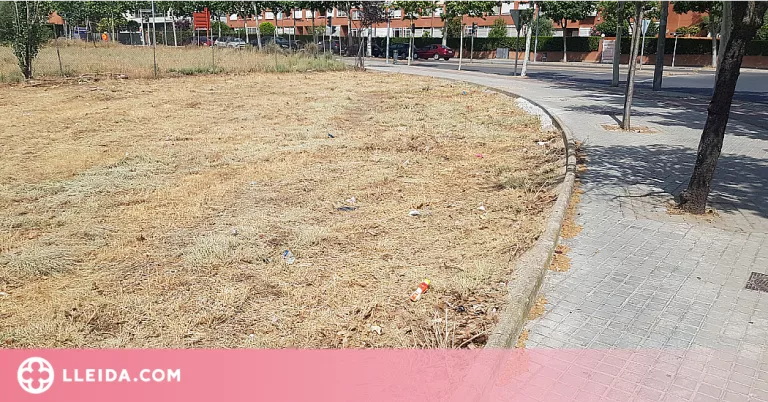 Lleida intensifica les tasques de neteja de jardineria