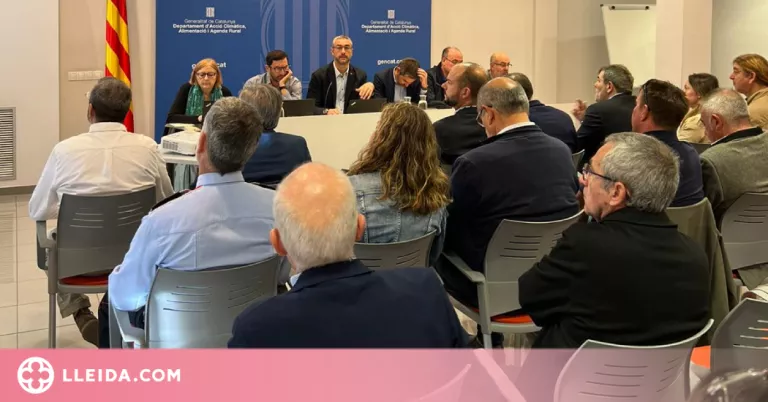 La campanya de la fruita registra un 17% menys de contractes al camp que l'any passat