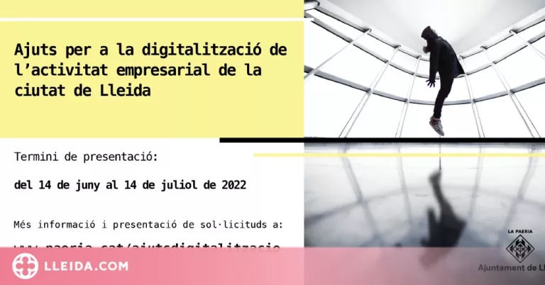 Ajuts de 120.000€ per a la digitalització de les empreses de Lleida