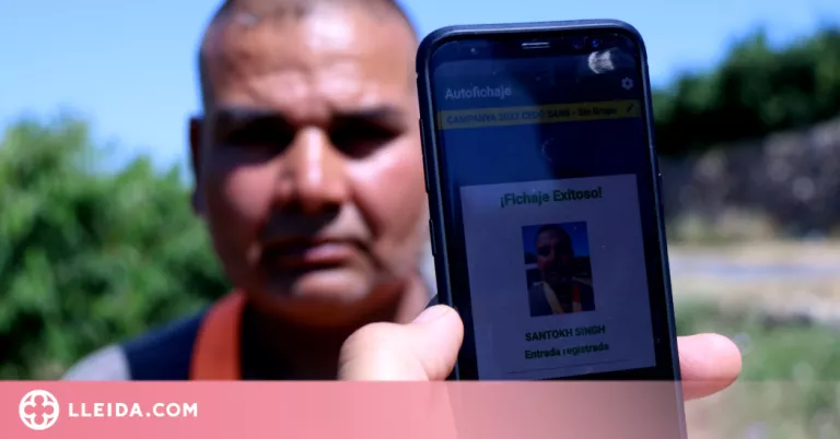 ⏯️ La nova eina digital per fitxar a peu de camp que està revolucionant la collita de cireres