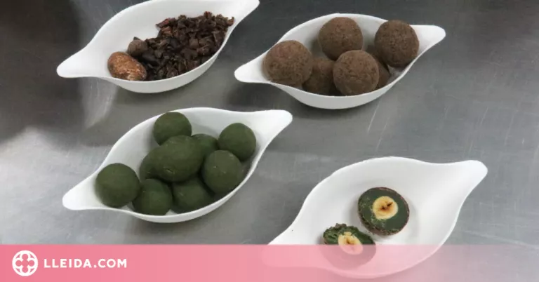⏯️ Creen al Segrià un bombó saludable elaborat amb cacau i espirulina que calma la gana