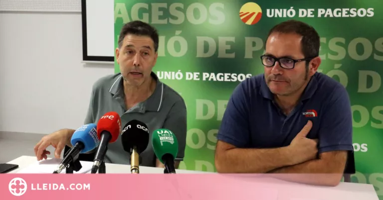 ⏯️ UP alerta que els ramaders han perdut 12 euros per porc arran de l'encariment dels costos