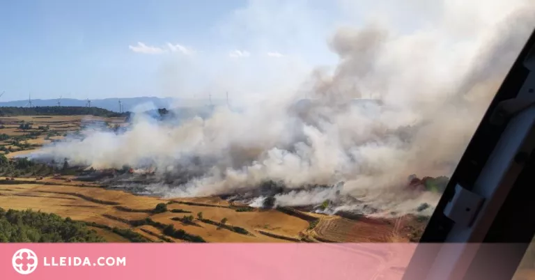 ⏯️ Extingit l'incendi de Vallbona de les Monges