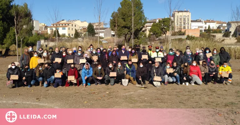 Tàrrega planta 19 arbres record de les víctimes de la violència masclista