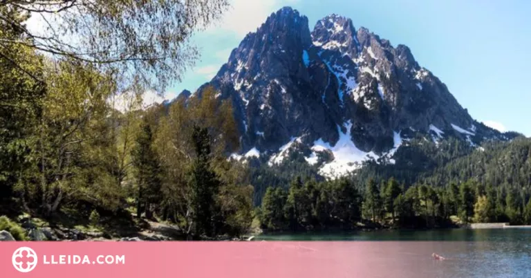 El Parc Natural d'Aigüestortes i Estany Sant Maurici promou el projecte "Pasturem el ramat"