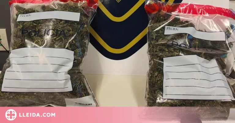 Detingut per circular en patinet elèctric per Lleida amb més de 700 grams de marihuana