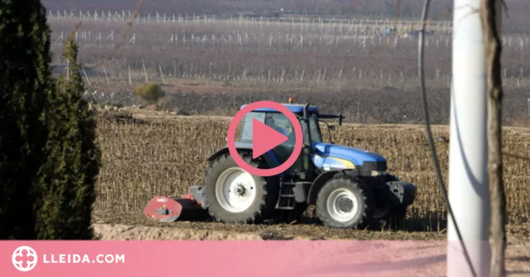 ⏯️ Banc de Terres a les Garrigues perquè joves agricultors puguin accedir a terrenys agrícoles