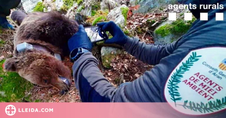 El jutge de Vielha atribueix la mort de l'os Cachou per enverinament a només 2 dels 6 investigats