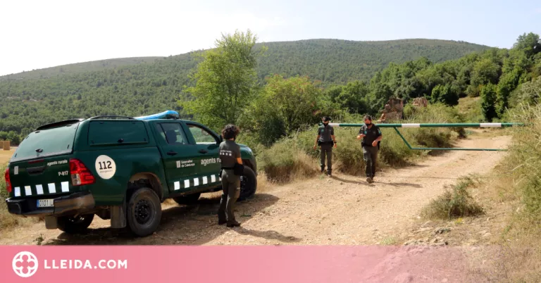 8 comarques de Lleida, en nivell 2 del Pla Alfa per risc d'incendi