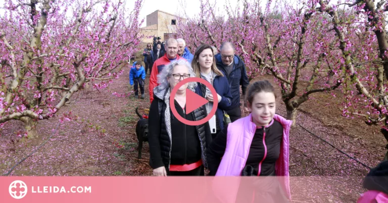 ⏯️ Massalcoreig ensenya la floració i els escenaris on es va rodar 'Alcarràs'
