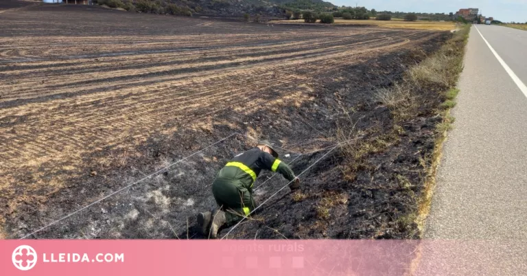 Localitzen la burilla que va provocar l'incendi d'Artesa de Segre