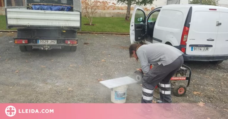 Almacelles reforça la neteja del cementiri per Tots Sants
