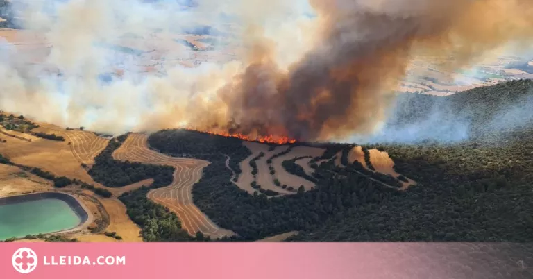 Un nou incendi a Artesa de Segre crema ja 40 hectàrees