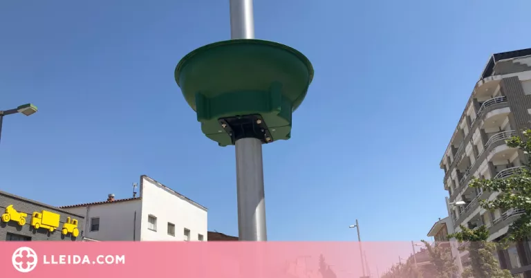 Les Borges instal·la 11 jardineres a l’avinguda Francesc Macià
