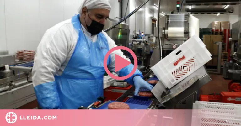 ⏯️ Una empresa catalana comença a exportar vedella ecològica i augmenta un 47% més de facturació