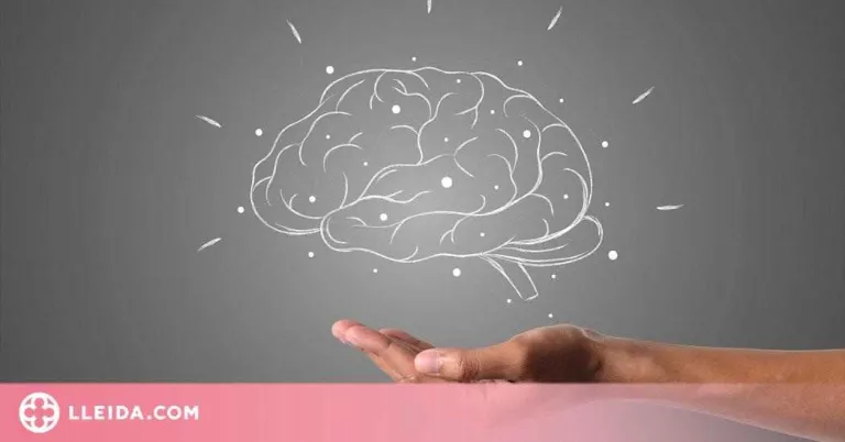 L’epilèpsia: símptomes, causes i actuació