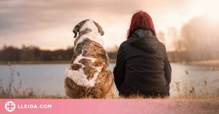 Jordi Domènech: "Adoptant una mascota estem salvant una vida"