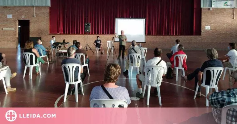 El Palau d'Anglesola avança cap a una comunitat energètica