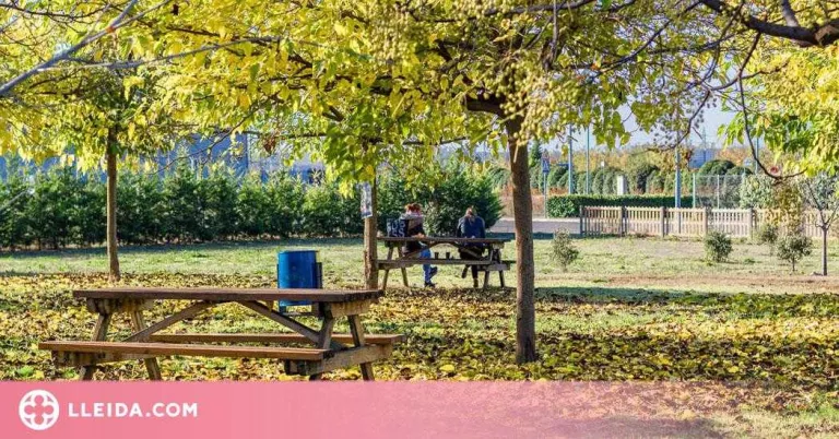 El Palau d’Anglesola s’adhereix a Viles Florides
