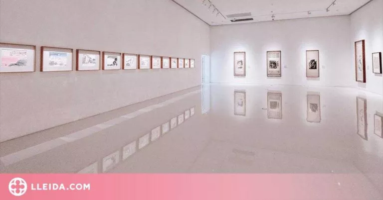 Sis propostes per visitar els museus de les nostres terres