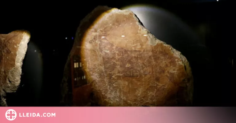 El Museu de Lleida mostra per primera vegada fragments de pintures rupestres de Terol