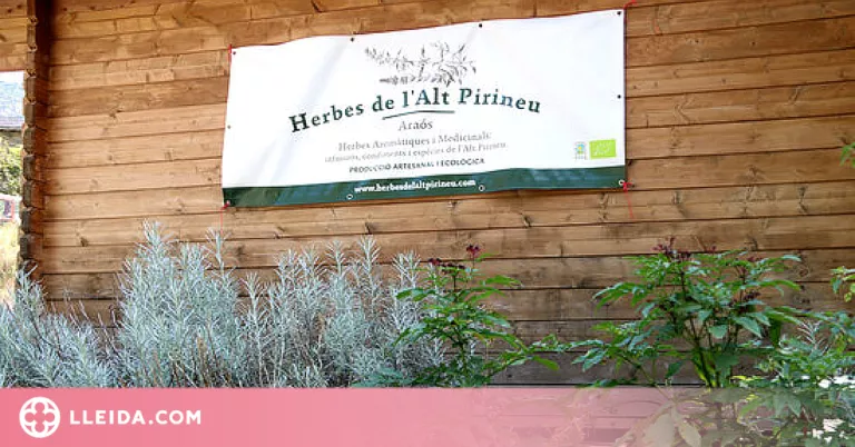 Les empreses de plantes medicinals reclamen distingir l'origen del producte
