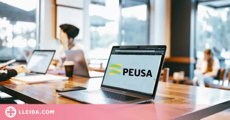 Peusa, entre les empreses que gestionaran el subministrament elèctric del territori