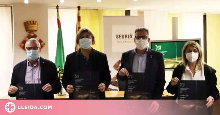 'Terra d'Oli', la nova iniciativa del Segrià per donar a conèixer la cultura de l’oli