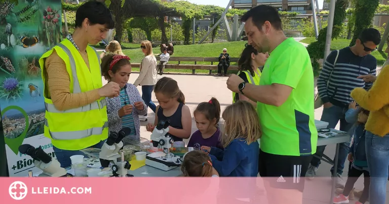 Unes 60 persones descobreixen els artròpodes que viuen a Lleida