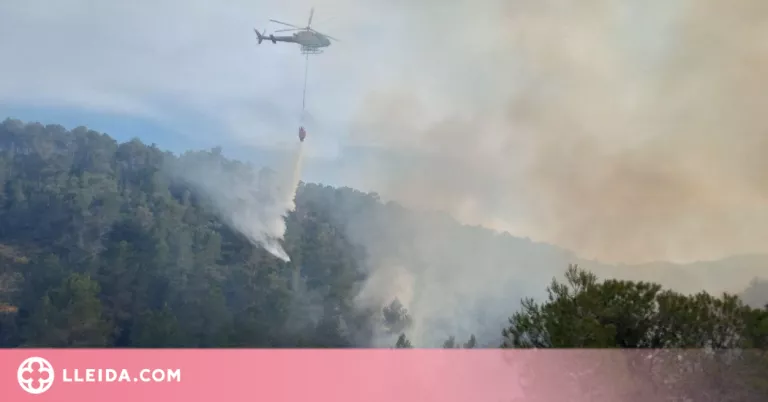 ⏯️ Els Bombers treballen per apagar un foc vegetal a Ascó