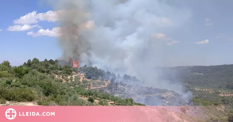 ⏯️ Estabilitzat l'incendi entre Juncosa i Ulldemolins