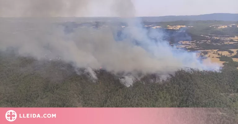 Incendi forestal a l'Alt Urgell