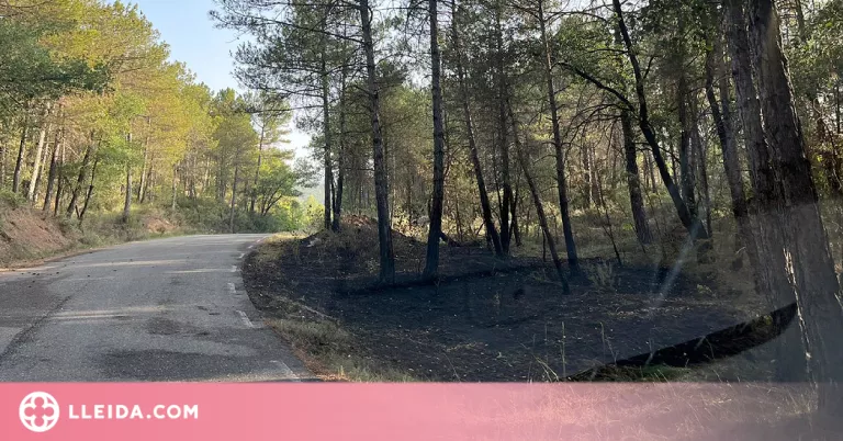 Presó per al presumpte responsable de cinc incendis intencionats al Solsonès