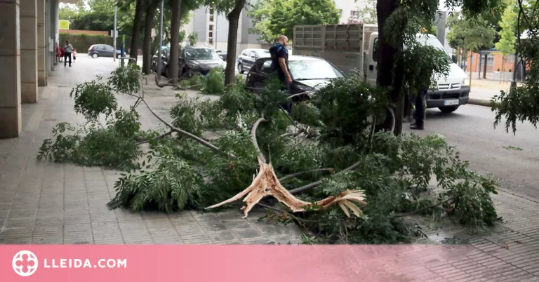 ⏯️ Una tempesta amb fortes ratxes de vent trenca arbres i tomba motocicletes a Lleida