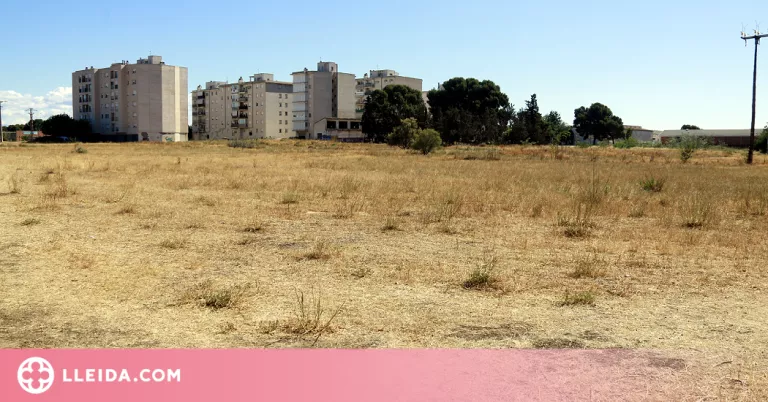 ⏯️ Unió de Pagesos demana mesures contra el risc d'incendi i les plagues a les finques abandonades de Lleida