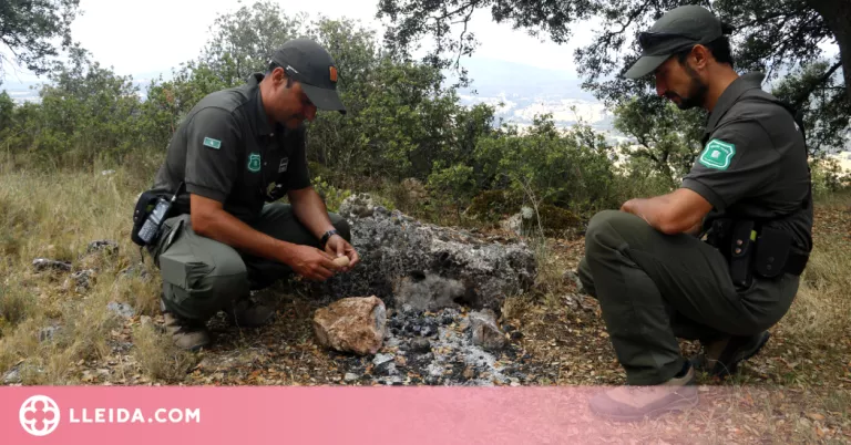 ⏯️ 19 denúncies relacionades amb la prevenció d'incendis des del 15 de juny