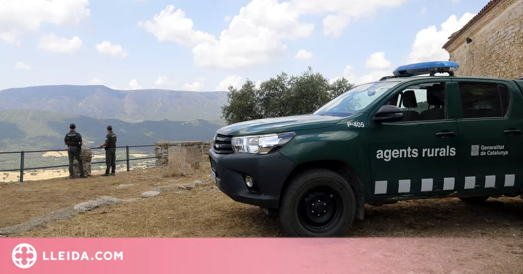 ⏯️ 19 denúncies relacionades amb la prevenció d'incendis des del 15 de juny