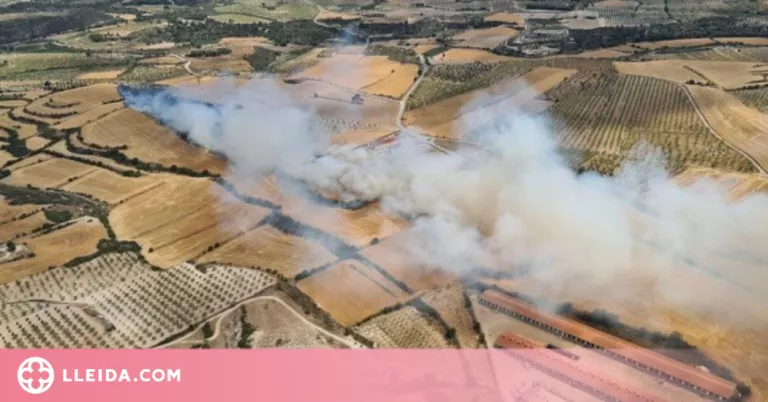 L'incendi agrícola a Arbeca ja afecta unes 25 hectàrees