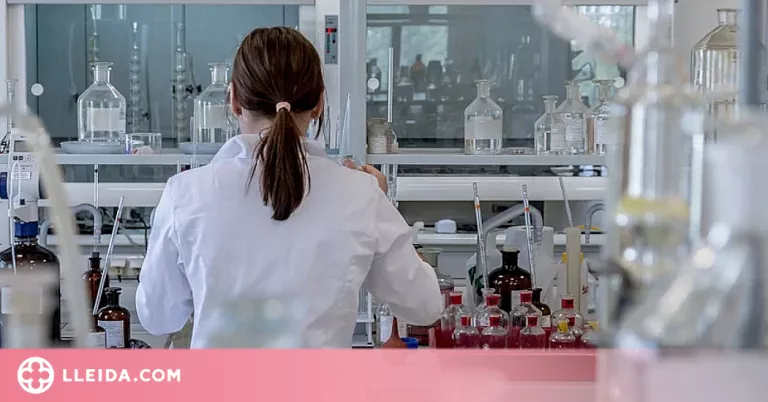 La UdL incorpora quatre investigadors de perfil internacional