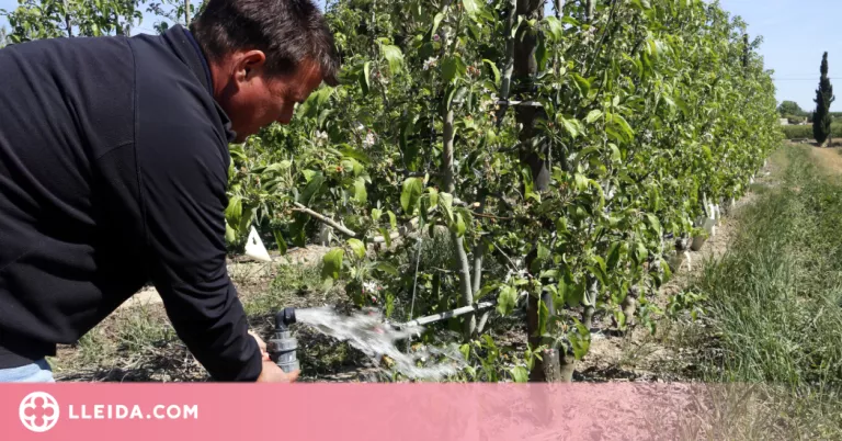 ⏯️ JARC avisa que "si continuen les restriccions d'aigua no hi haurà aliments de proximitat"