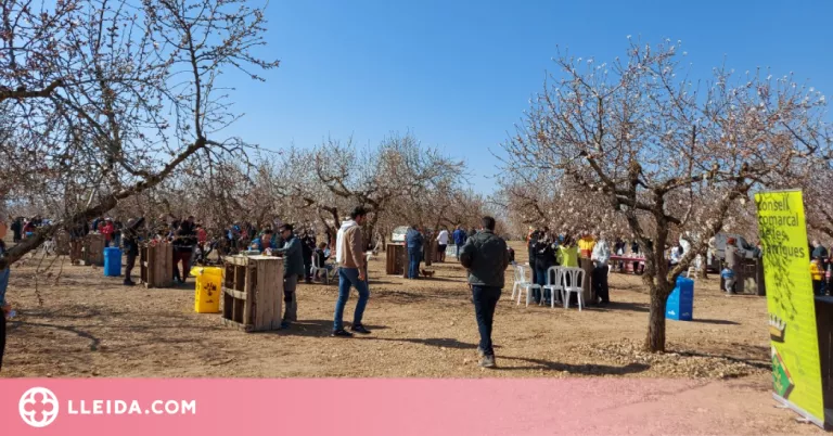 "Ametllers Florits 2023" acull un nou vermut a Arbeca, amb música i inflables